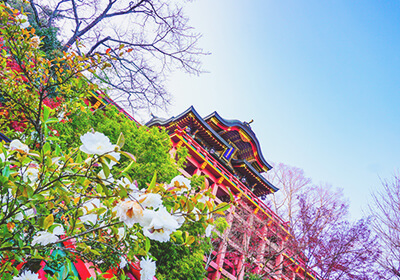 Yutoku Inari Shrine