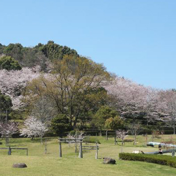 蟻尾山公園