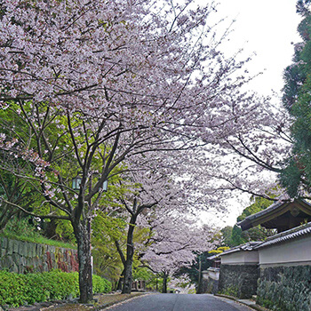 武家屋敷通り